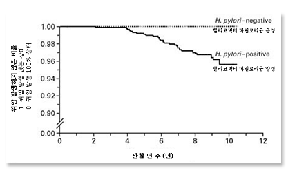 헬리코박터 파일로리균 감염 쥐의 위암 발생 연구 그래프